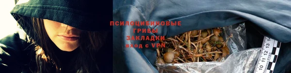эйфоретик Белокуриха