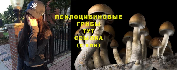 гашишное масло Богородицк